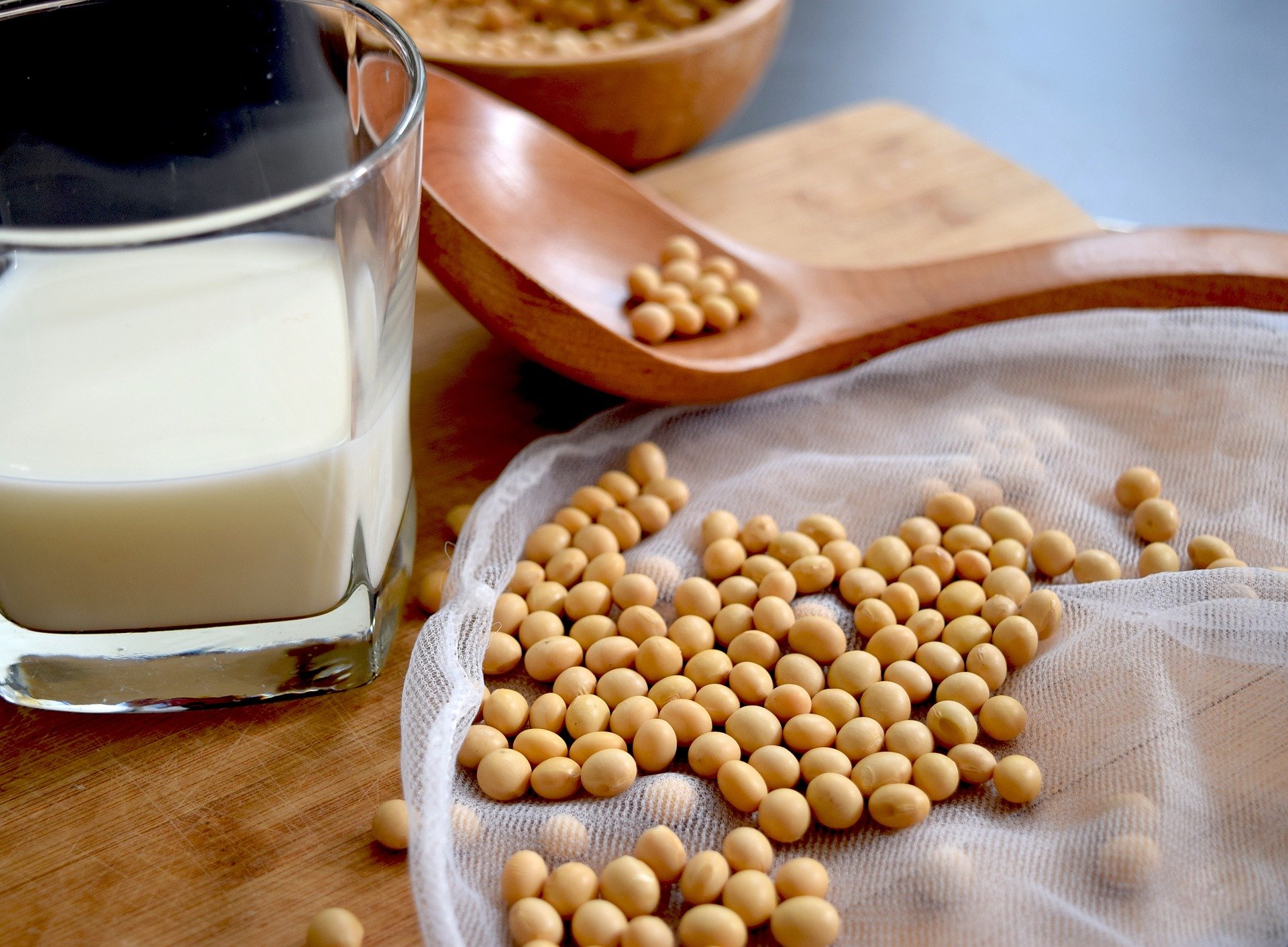 Le lait de soja, une source de protéines de qualité.